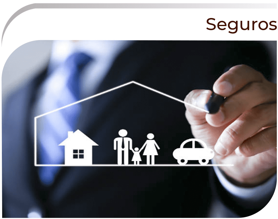 seguros-2.png